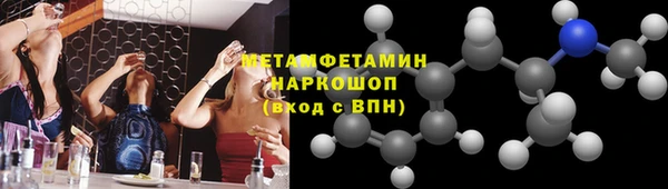 прущие грибы Няндома