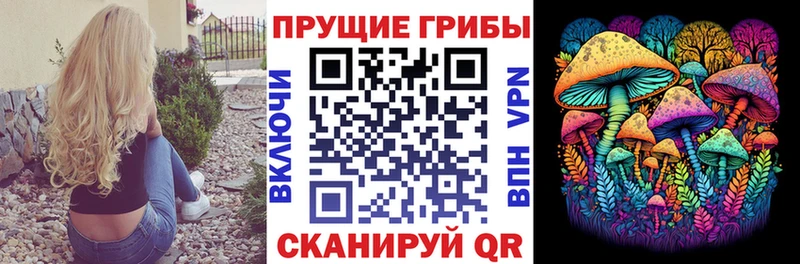 Купить  Волжск  Галлюциногенные грибы Magic Shrooms 